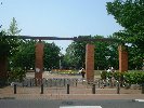 䉬X