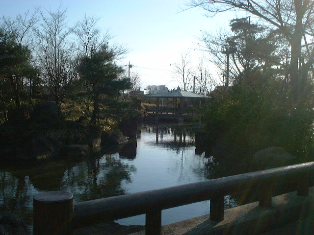 井草森公園の池
